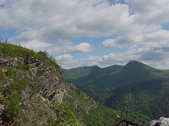 Sitting Bear and Hawksbill From Rock Jock