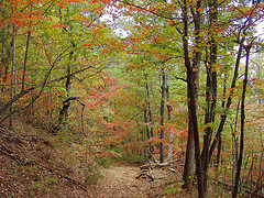 Rumbling Bald Mountain Trail