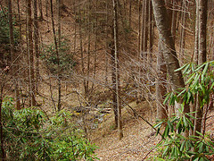 Slate Rock Creek Trail