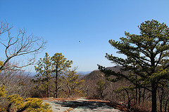 The View from Stone Mountain