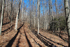 Thompson Creek Trail