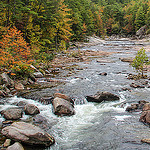 Wilson Creek from Above