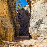 Lick Wash Winding Through the Canyon