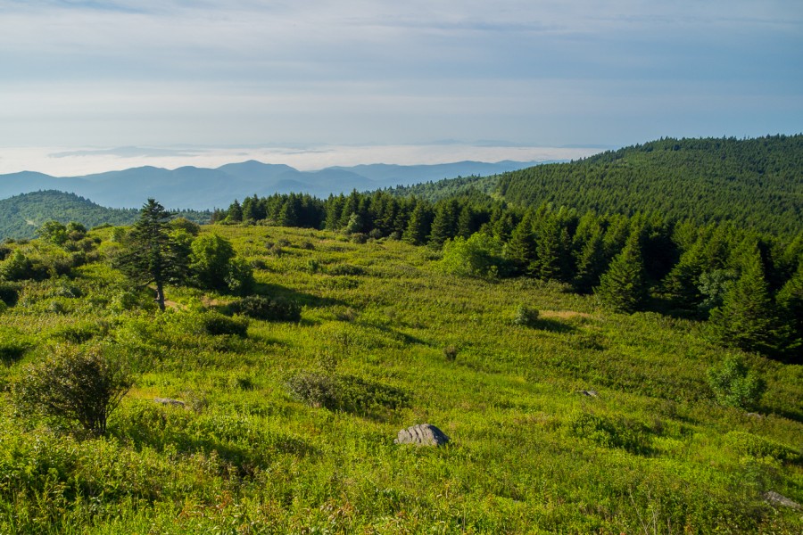 Meanderthals | Black Balsam Knob and Tennent Mountain, Blue Ridge Parkway