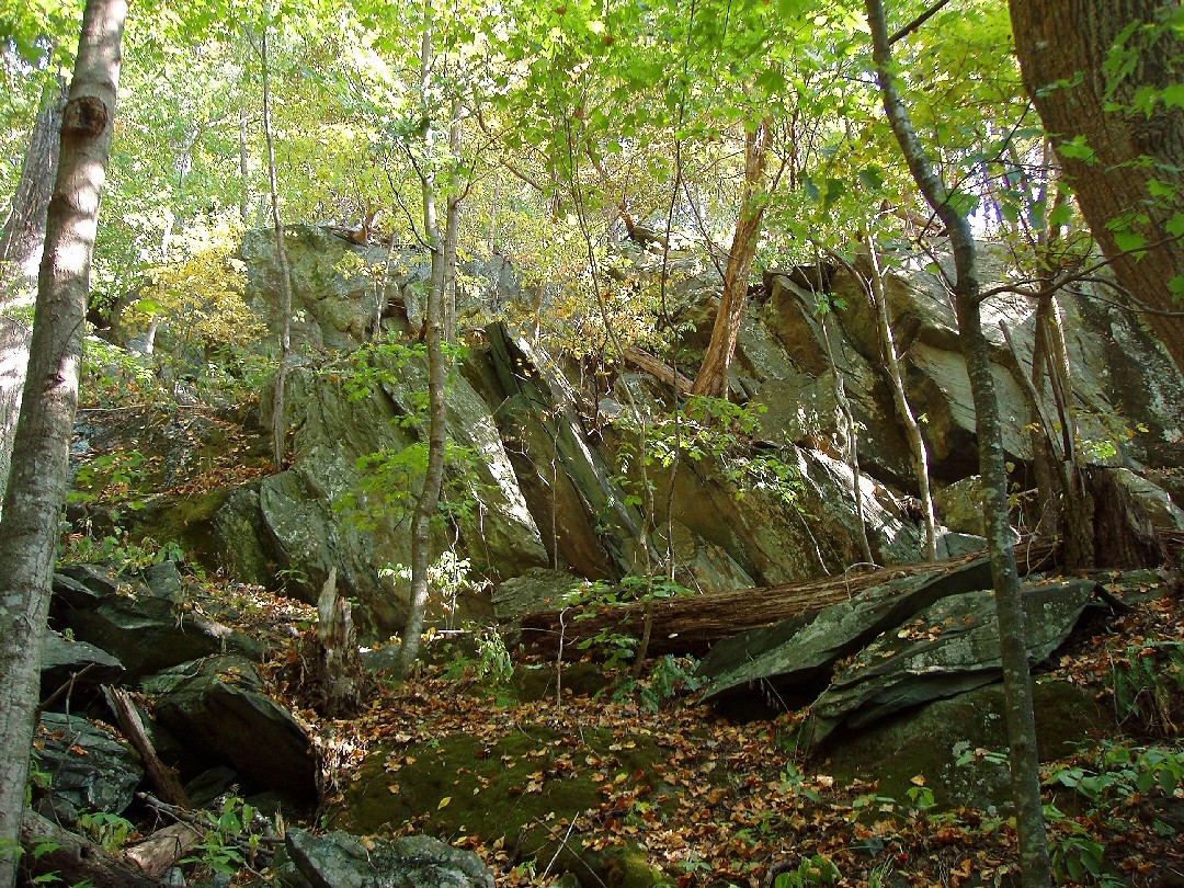 Meanderthals Cedar Run and Whiteoak Canyon Trails, Shenandoah