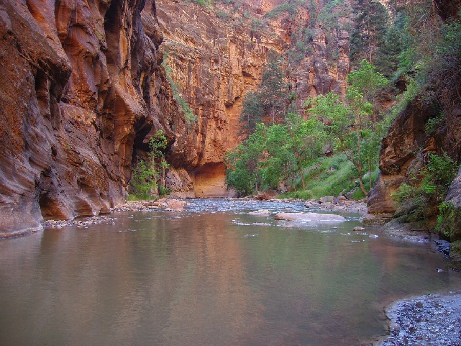 Meanderthals | The Narrows in Zion Canyon, Zion National Park