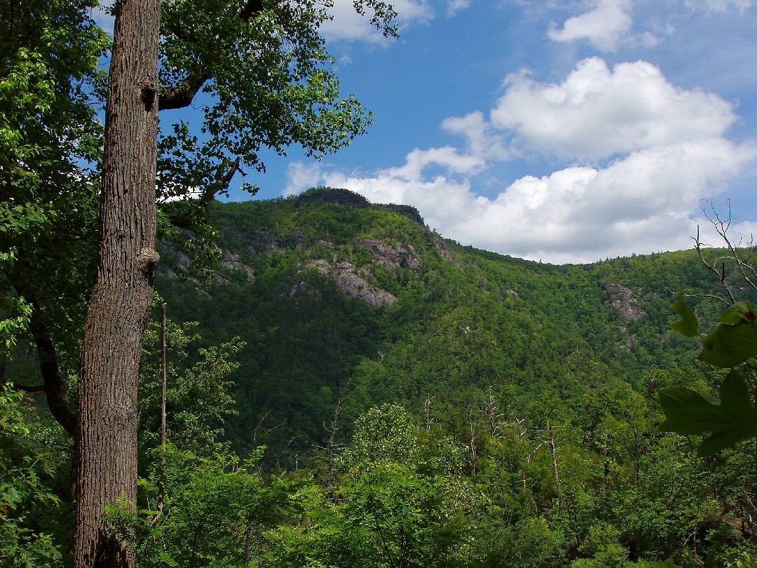 Meanderthals Rock Jock and Conley Cove Trails, Linville Wilderness