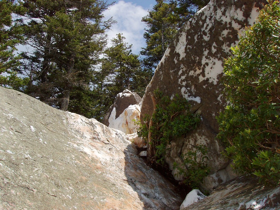 Meanderthals Ivestor Gap and Art Loeb Trails to The Narrows, Shining