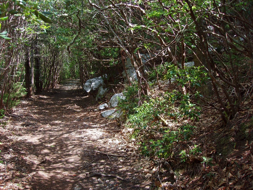 Meanderthals Ivestor Gap and Art Loeb Trails to The Narrows, Shining