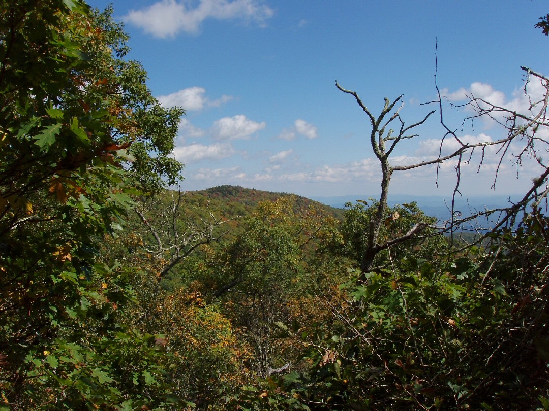 Meanderthals Greybeard Trail, West Ridge Trail, and Big Piney Ridge