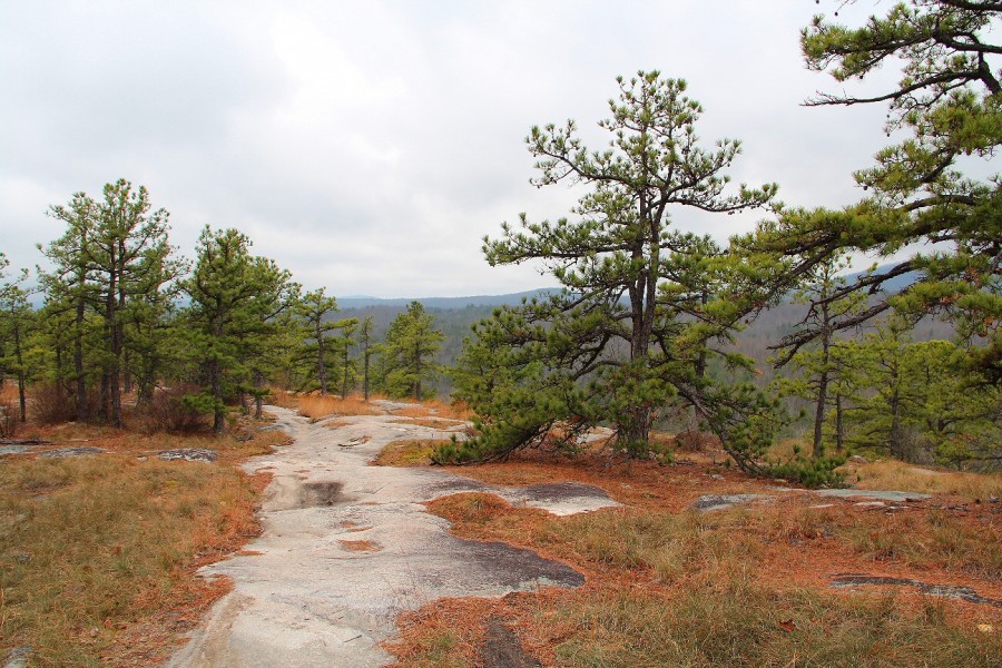 Meanderthals Corn Mill Shoals Trail, Little River Trail, Cedar Rock