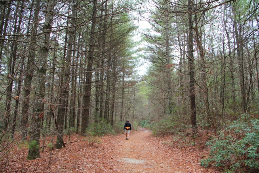 Meanderthals Corn Mill Shoals Trail, Little River Trail, Cedar Rock