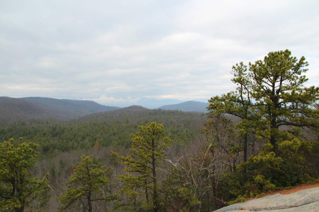 Meanderthals Corn Mill Shoals Trail, Little River Trail, Cedar Rock