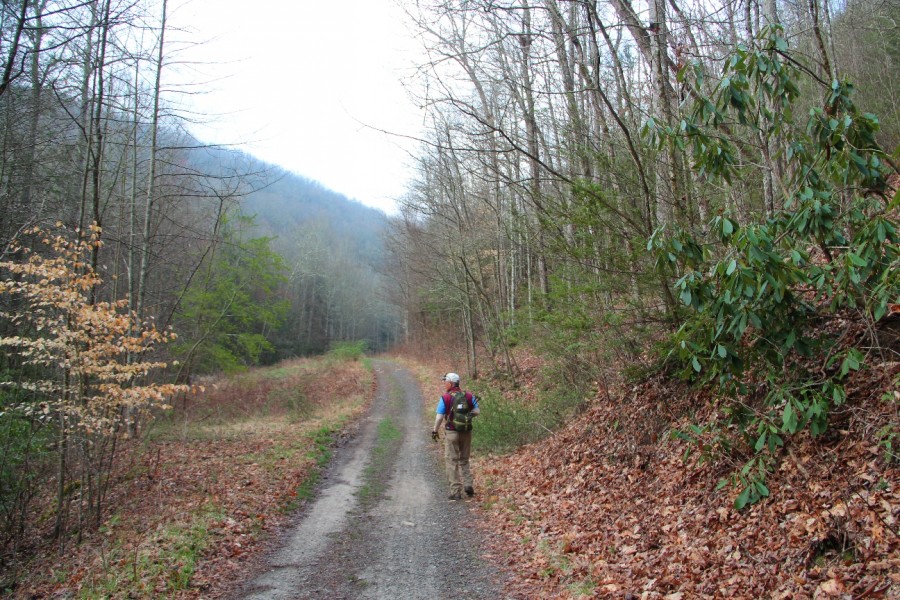 Meanderthals Spencer Branch and Trace Ridge on Coffee Pot Mountain, Pisgah National Forest
