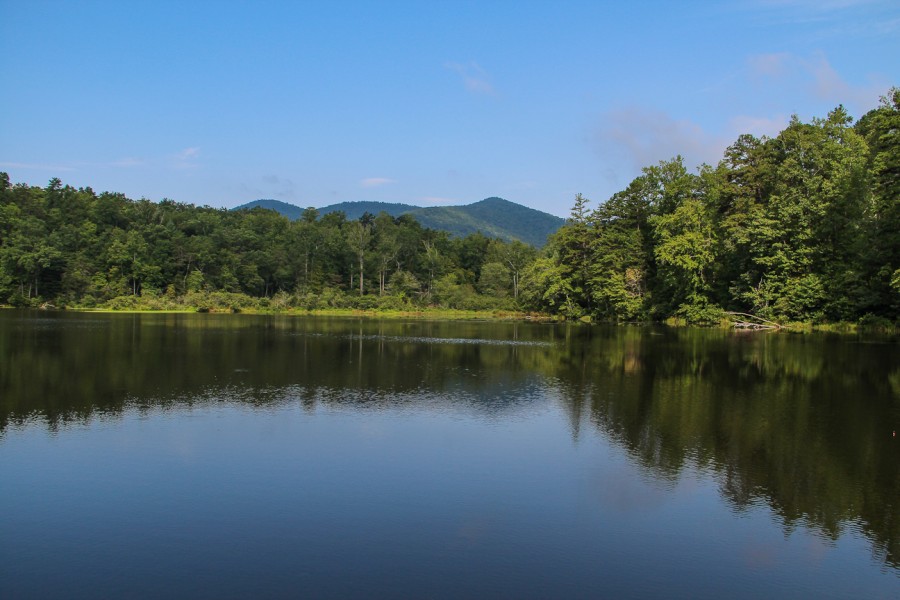 Meanderthals Homestead Trail, Lake Powhatan, Pisgah National Forest