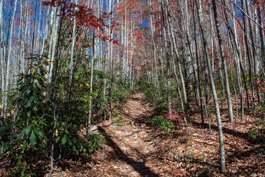 Meanderthals Pilot Rock Trail, Pisgah National Forest
