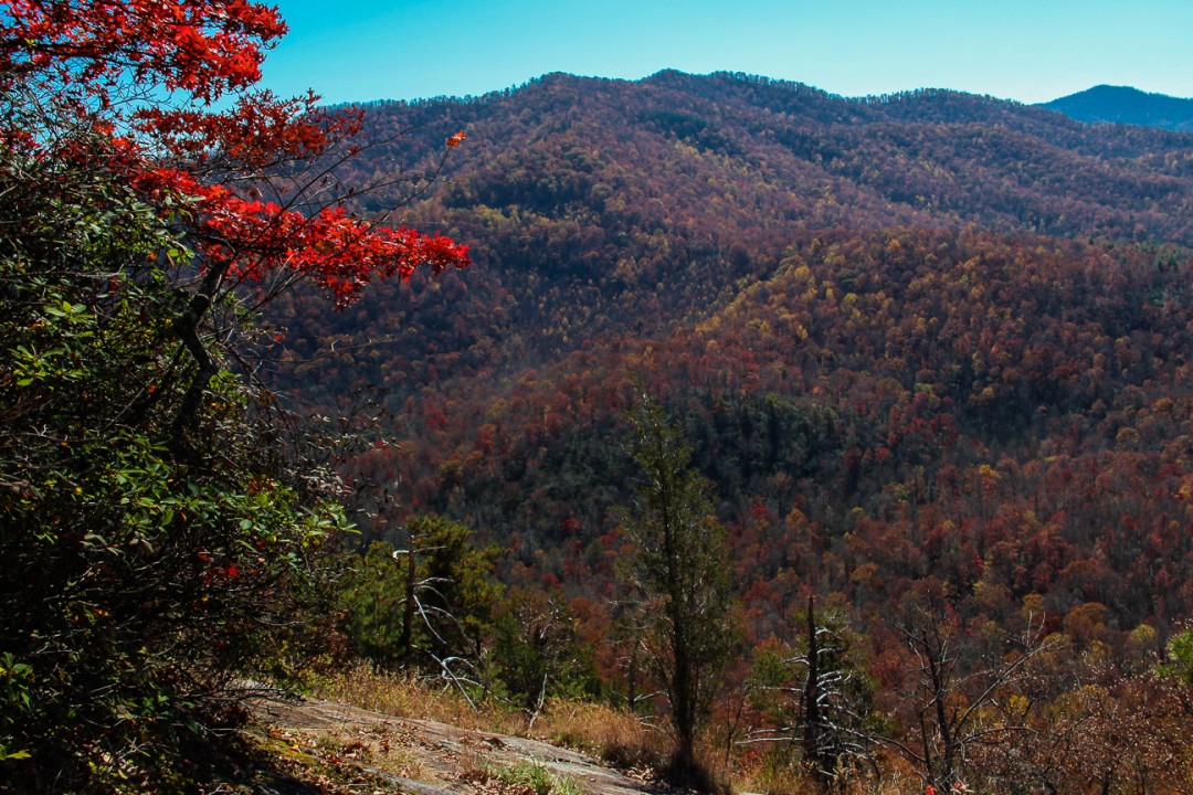 Meanderthals Pilot Rock Trail, Pisgah National Forest
