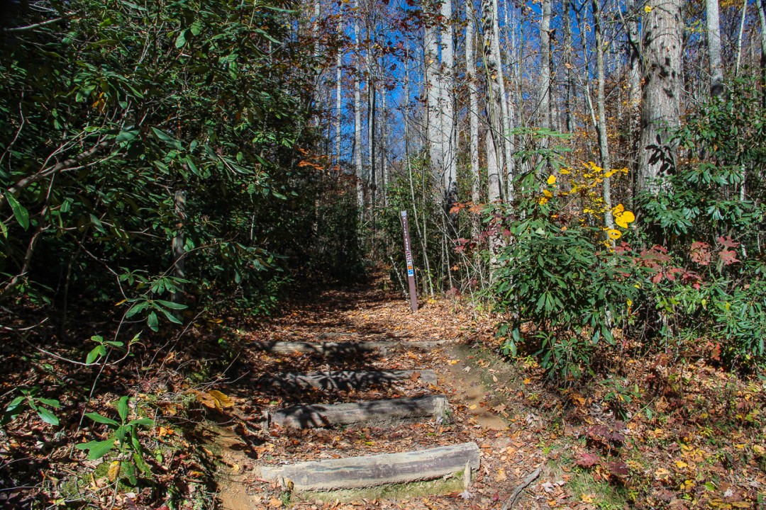Meanderthals Pilot Rock Trail, Pisgah National Forest