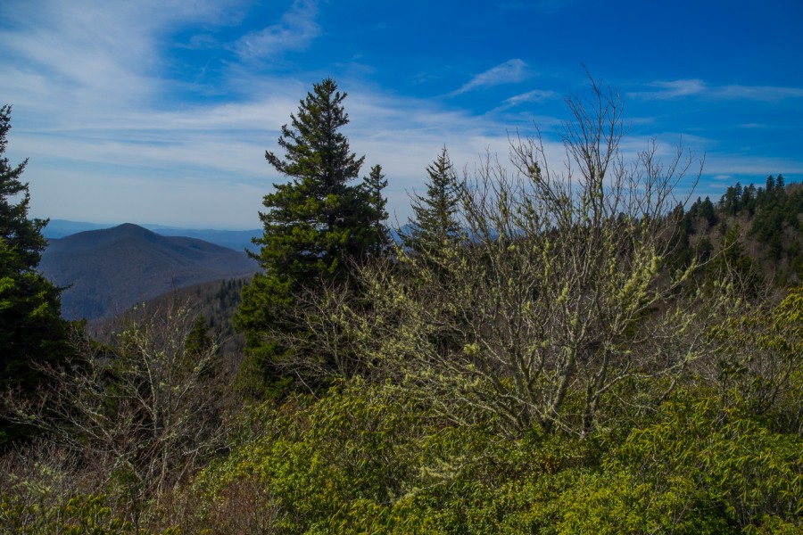 Meanderthals Ivestor Gap Trail and Fork Mountain Trail to Birdstand