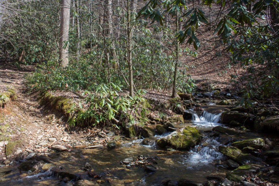 Meanderthals Pressley Cove and Maxwell Cove Trails, Pisgah National