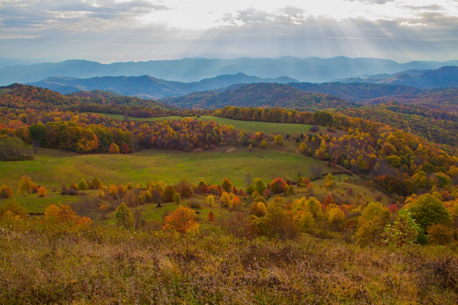Meanderthals | Appalachian Trail to Max Patch and Buckeye Ridge