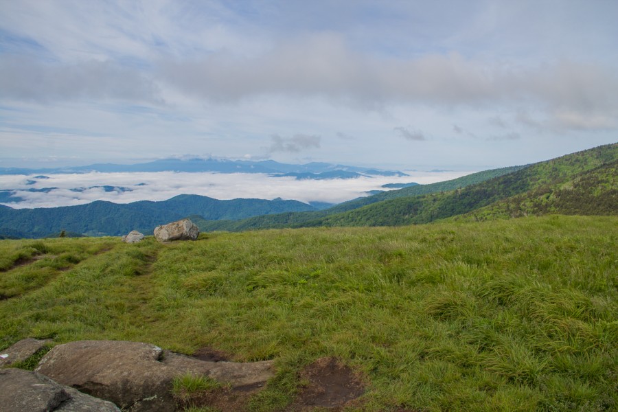 Meanderthals | Appalachian Trail on Grassy Ridge, Roan Highlands