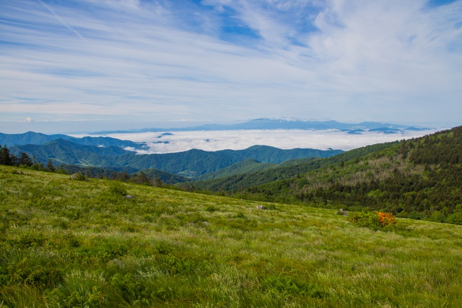 Meanderthals | Appalachian Trail on Grassy Ridge, Roan Highlands