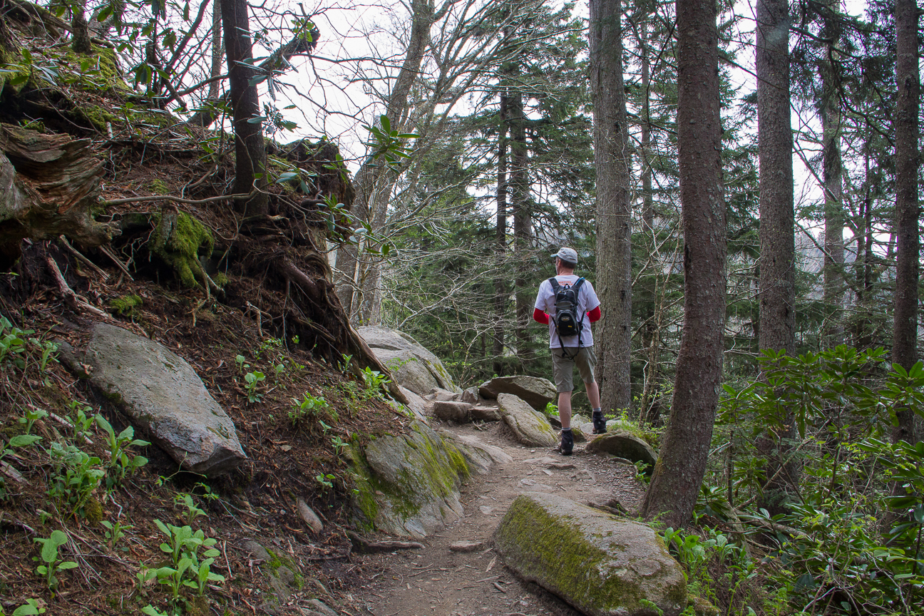 Hiking the AT in Great Smoky Mountains National Park - Photo by Jeff Clark