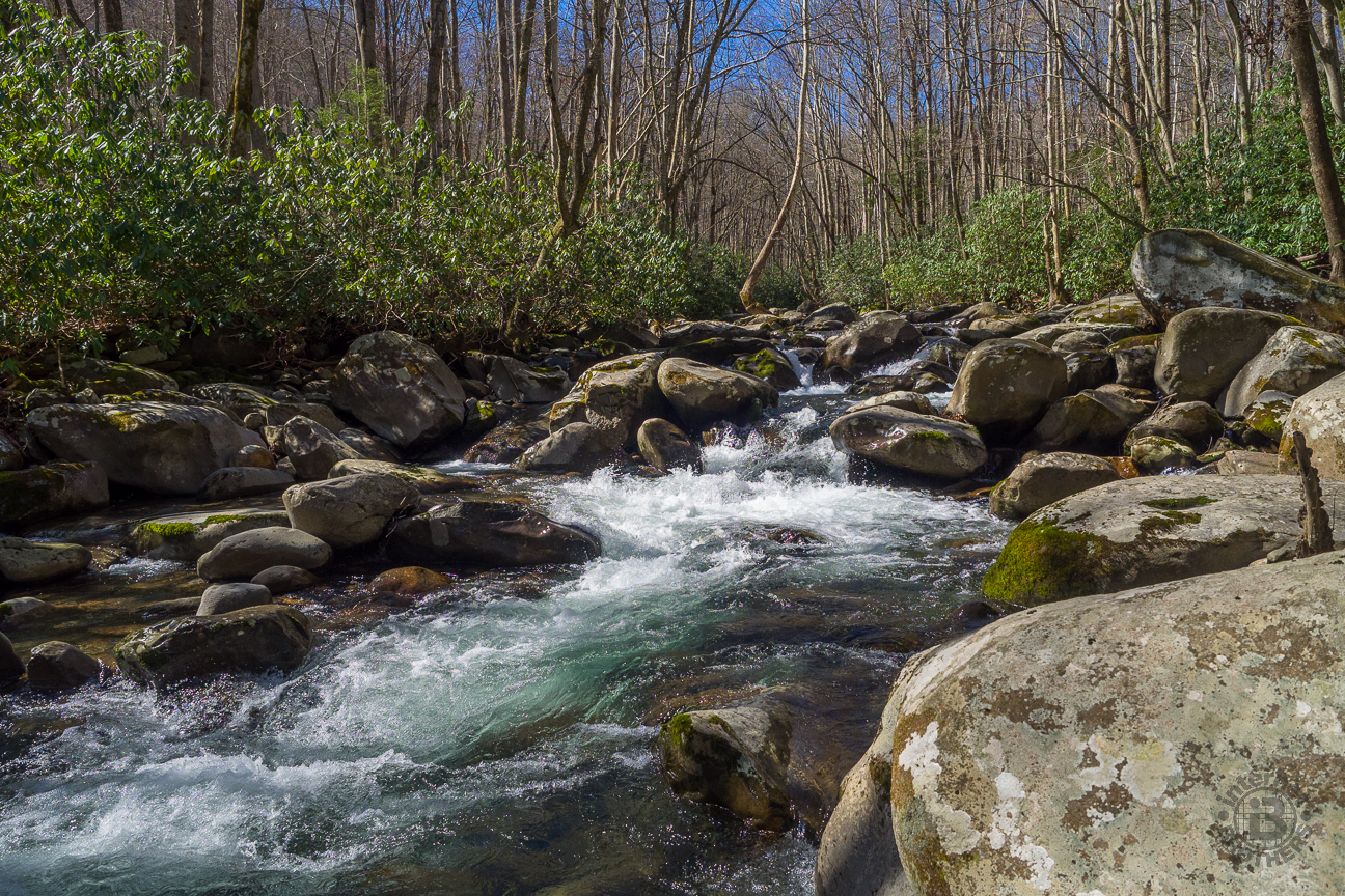 Meanderthals Porters Creek Trail to Fern Branch Falls, Great Smoky Mountains National Park
