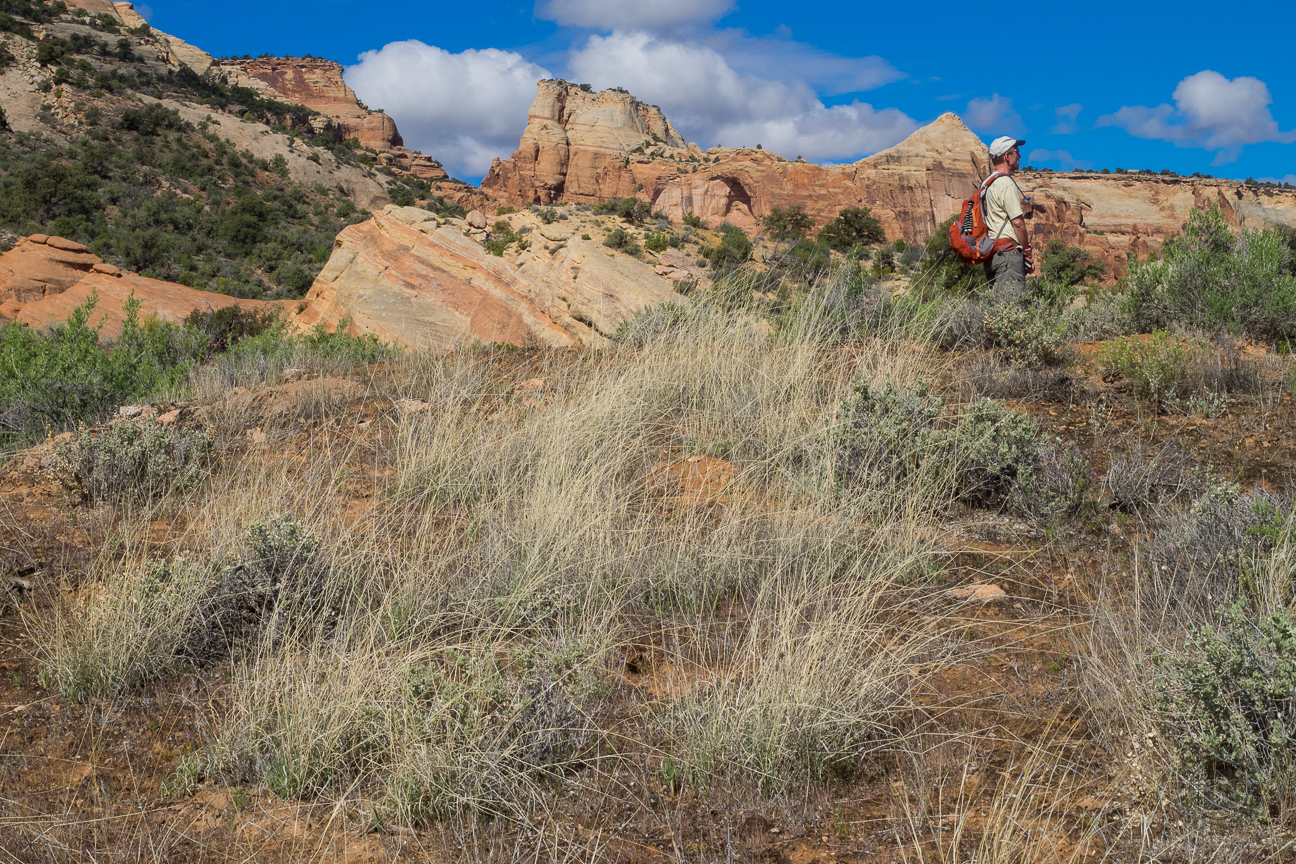 Here, along the Wedding Canyon Trail, my brother Dave surveys the town of Fruita in the Colorado River valley below. Directly behind him is The Saddlehorn, the first of the sandstone landmarks you will see along the cliffs that overlook the canyon.