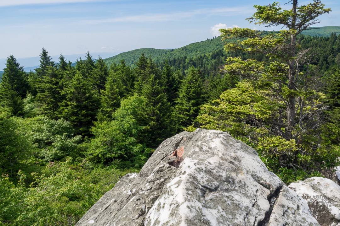 Meanderthals Ivestor Gap Trail to Shining Rock, Shining Rock Wilderness