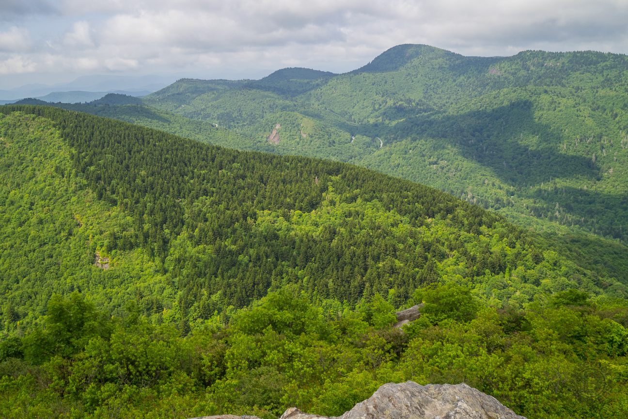 If you look at the ridge on the far upper right of this picture, you can make out the rock outcrops on the ridge. You have a great view of Sam Knob from over there.