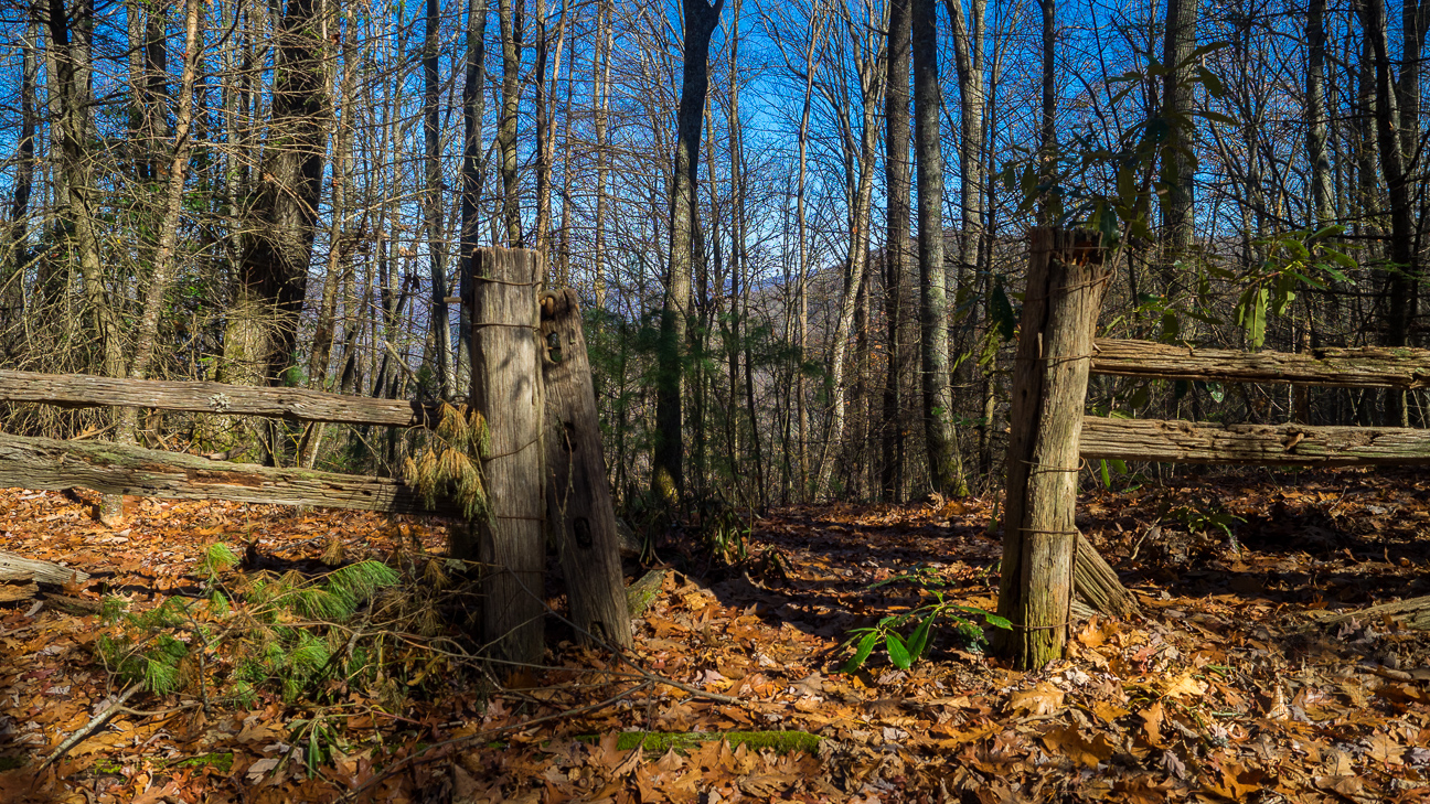 Boundary gate at Hoglen Gap. This old park boundary fence was put up by the Civilian Conservation Corps in the 1930s. This gate denotes a connector to a no-longer-used logging road.