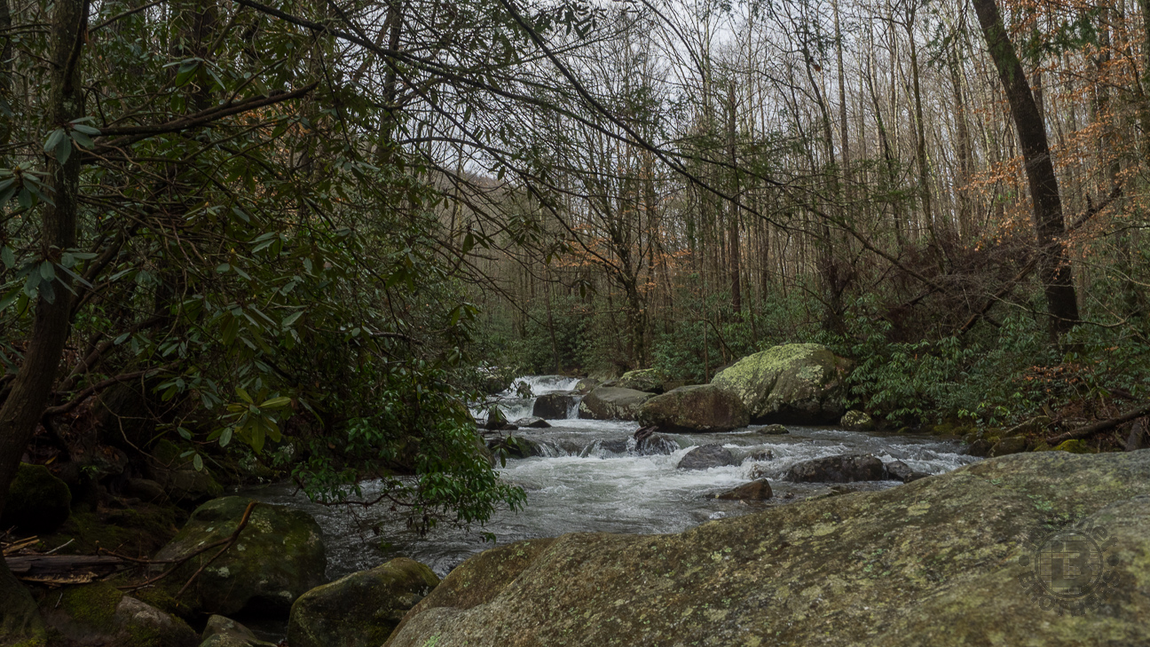 Instead of dwelling on the deterioration of the trail, we focused on the beauty of the Middle Saluda River, including this section where it drops over terrace-like bedrock.