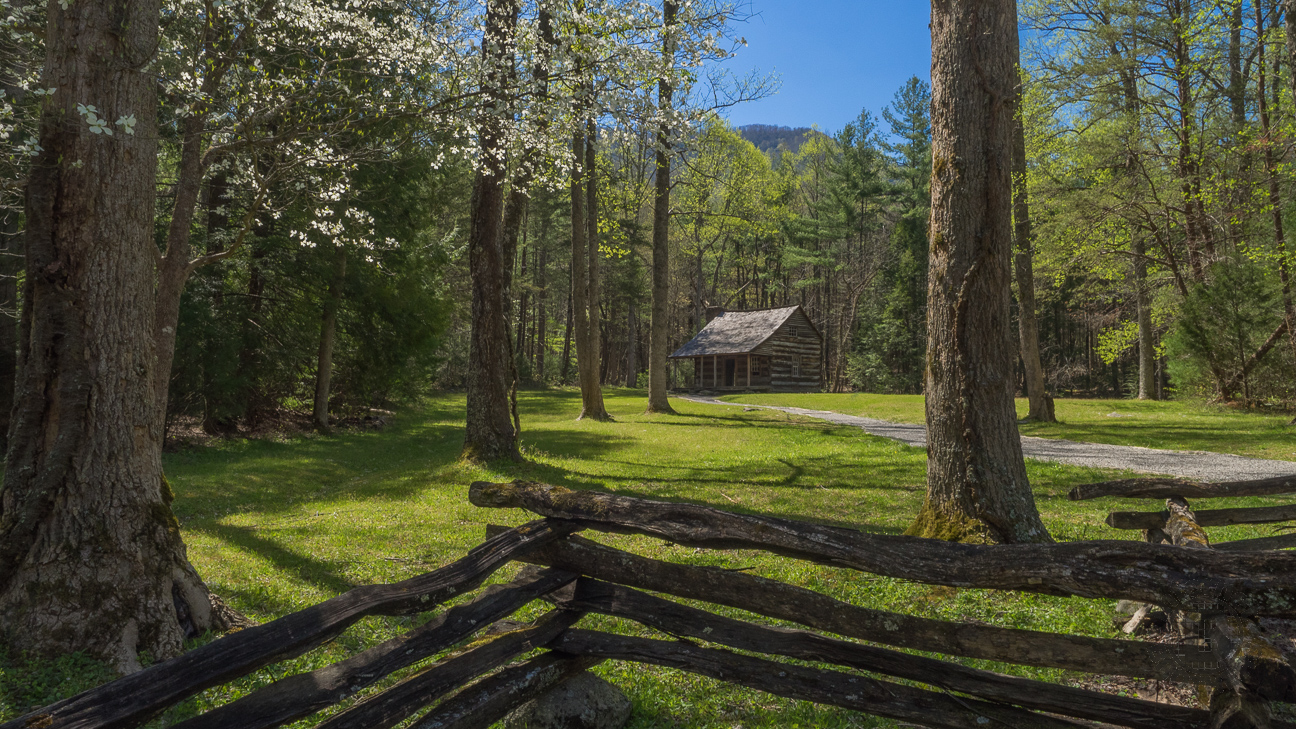 Built in 1910 by a veteran of the Battle of Shiloh, the Carter Shields cabin sits in a lovely nook in the forest surrounded by flowering dogwood and the Smoky Mountains.