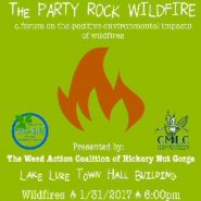 Impacts of the Party Rock Fire on Hickory Nut Gorge