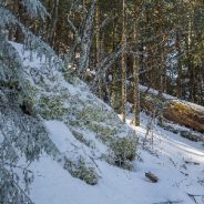 Things to consider before hiking in deep snow