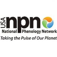 NOAA-supported National Phenology Network data shows plants leafing out 10-20 days earlier than normal