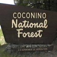 The hands behind the Forest Service’s iconic signs