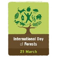International Day of Forests:  21 March