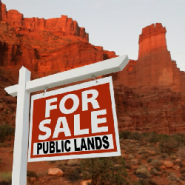 New Mexico has sold 4 million acres of land to oil companies and development