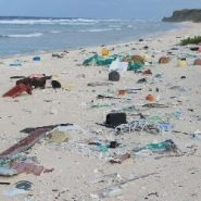 South Pacific Island Uninhabited For 600 Years Is Drowning In Plastic
