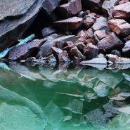 Middle Emerald Pools Trail at Zion National Park To Be Restored Thanks to $1 Million Grant