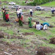 66 million trees planted in 12 hours in India
