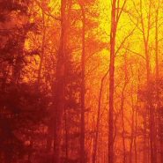 Interior Secretary Zinke fiddles on climate while America’s national parks burn