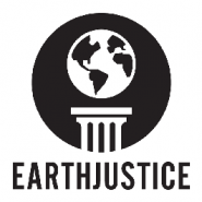 Earthjustice Wins 16-Year-Long Battle to Protect 50 Million Acres of Forests