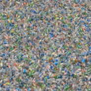 10 rivers may deliver bulk of ocean plastic