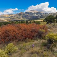 The benefits of public wildlands, explained