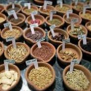 A diverse portfolio: Seed bank works to protect genes of WNC plants