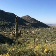 Arizona’s Wild Burro Trail is a gateway into the Tortolita Mountains
